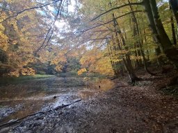 55887171012824028703543256297512530675253398n